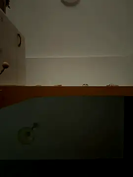 Lecatore80 online show from 11-09-25, 07:50