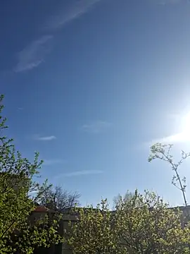 CeriseLapine online show from 03-28-26, 07:41