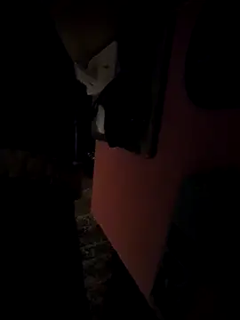 Snapshot of pumapatri chatting on 03-11-26, 06:25 pumapatri online show from 03-11-26, 06:25