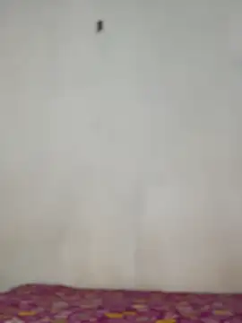 Nicole cute1 online show from 11-30-25, 07:29