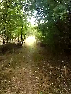 nataliecdlive online show from 09-13-25, 01:33