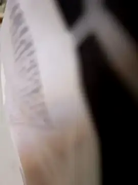 Snapshot of 403notfound chatting on 09-25-25, 11:58 403notfound online show from 09-25-25, 11:58