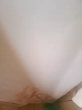 Snapshot of 403notfound chatting on 11-03-25, 04:41 403notfound online show from 11-03-25, 04:41