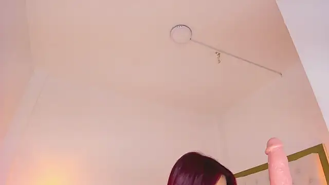 Snapshot of SofiaBosch chatting on 05-12-26, 01:47 SofiaBosch online show from 05-12-26, 01:47