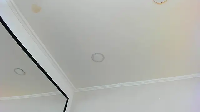 Loggan donnelly online show from 03-10-25, 10:55