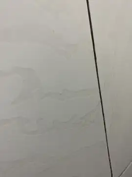 picatorta19 online show from 12-17-25, 06:25