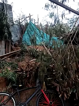 tayson  online show from 02-07-26, 11:36