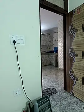 Snapshot of Saroj-Shah chatting on 03-01-25, 03:32 Saroj-Shah online show from 03-01-25, 03:32