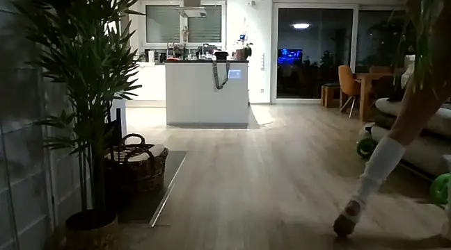 SportyspiceDanny online show from 12-22-24, 06:37