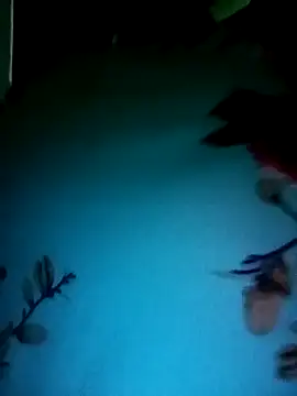 Snapshot of gunjan22 chatting on 12-31-24, 05:22 gunjan22 online show from 12-31-24, 05:22