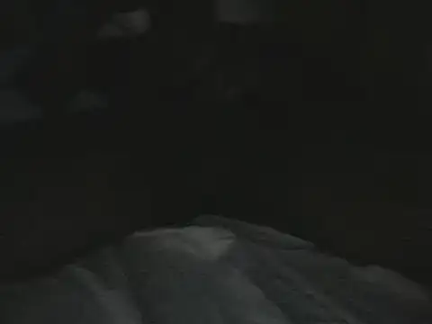 tumarditoperro online show from 12-30-24, 10:01