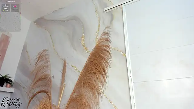 sandy rivas online show from 02-02-26, 02:49