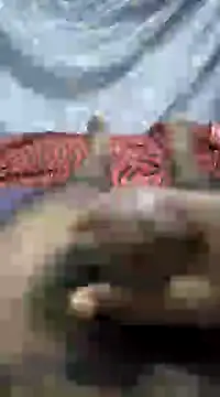 mallucallboy2104 online show from 01-01-25, 09:09