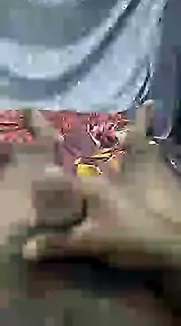 mallucallboy2104 online show from 02-13-25, 07:31