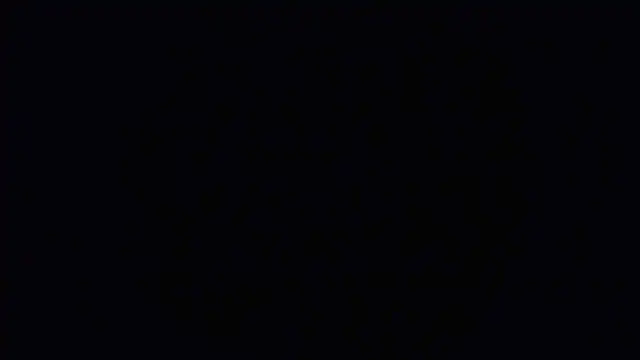 Raiye online show from 01-24-25, 06:03