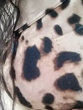 Cristina sexy maroc online show from 01-31-26, 11:47