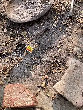 satrr xxx online show from 11-27-25, 04:58