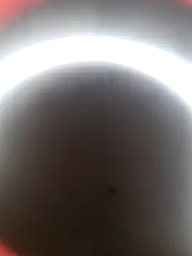 Snapshot of lolimirass24 chatting on 12-22-24, 02:49 lolimirass24 online show from 12-22-24, 02:49