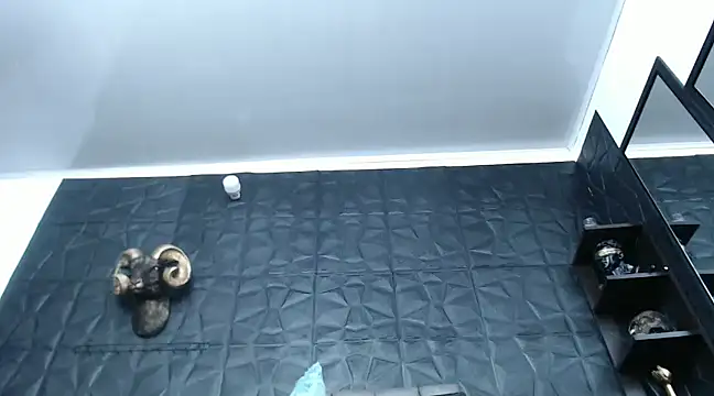 Hanna Fox 69 online show from 12-29-24, 12:34