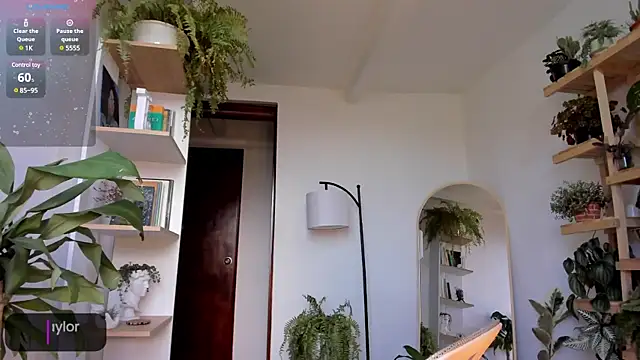 Snapshot of Johaphyton chatting on 01-18-25, 09:13 Johaphyton online show from 01-18-25, 09:13