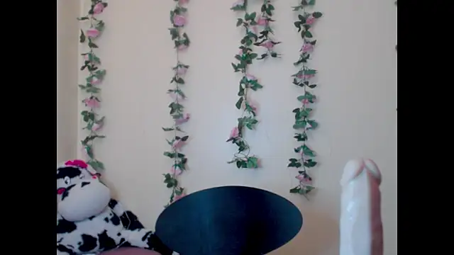 Saloome- online show from 06-15-26, 07:05