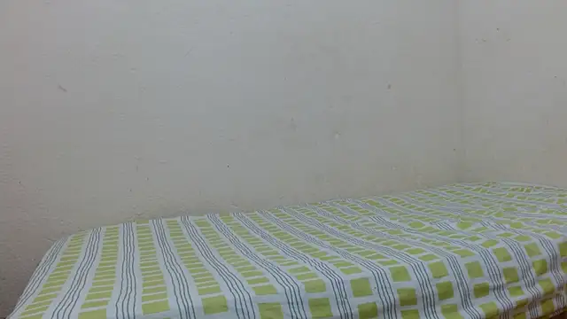 Evanhotx online show from 01-06-26, 08:45