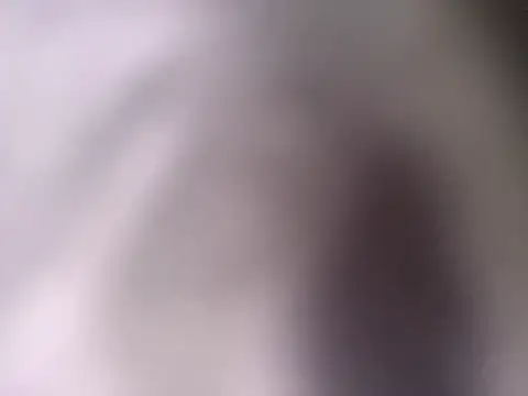 pantomax online show from 09-20-25, 08:48