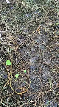 Snapshot of tamil000000 chatting on 03-16-25, 01:38 tamil000000 online show from 03-16-25, 01:38