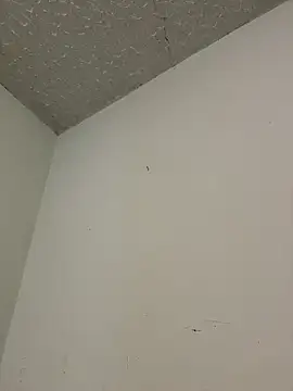 aurora divine online show from 03-16-26, 10:03