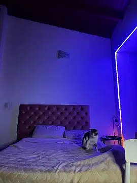 soygalaof online show from 01-11-26, 06:40