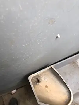 Nicusorescu26 online show from 04-20-26, 09:45