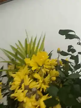 MireyaTorresGu online show from 03-04-26, 02:23