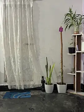 Snapshot of mikemacluffy chatting on 09-25-25, 04:00 mikemacluffy online show from 09-25-25, 04:00