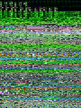 bibisa online show from 12-01-25, 10:59