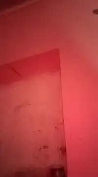 sosarax online show from 01-30-25, 11:22