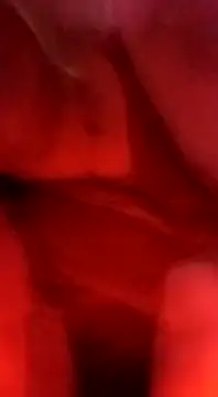 sosarax online show from 02-05-25, 03:20