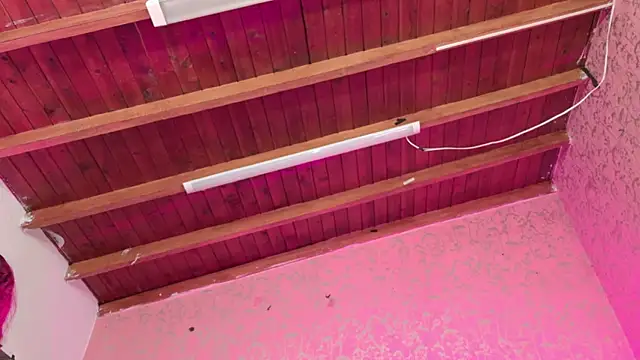 Sofia martiin online show from 11-14-25, 03:05