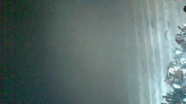 HardWolf2024 online show from 12-24-24, 12:11