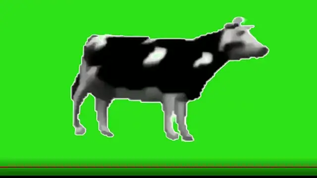 Snapshot of awesome_anna chatting on 02-13-26, 10:55 awesome anna online show from 02-13-26, 10:55