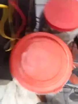 PracticalGum40 online show from 02-02-26, 02:54