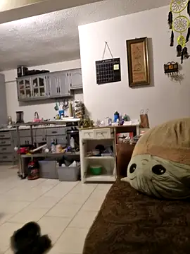 abdierkader online show from 11-12-25, 09:03