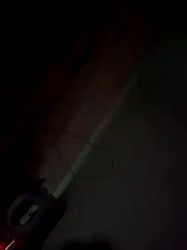 imissyoumylove14 online show from 01-21-25, 07:47