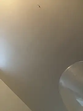 bv7L1h5i6B jNHe online show from 01-28-25, 01:05