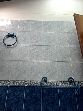 ellie mcdonald online show from 11-27-25, 03:58