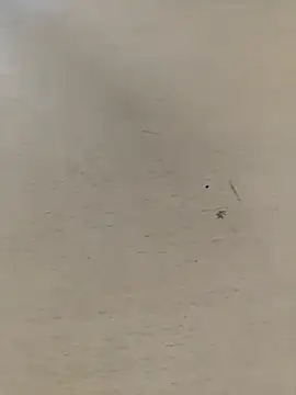 shale26 online show from 09-28-25, 07:36