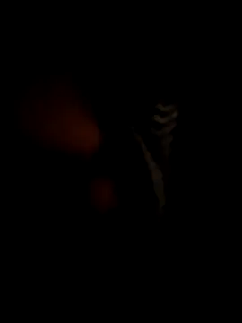 RMP05 online show from 12-21-24, 02:09