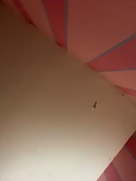 mikeJak online show from 03-23-25, 07:09