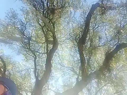 Snapshot of Darly_Gomez chatting on 12-22-24, 03:22 Darly Gomez online show from 12-22-24, 03:22