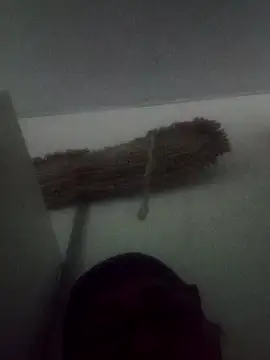 Snapshot of Darly_Gomez chatting on 02-09-25, 05:33 Darly Gomez online show from 02-09-25, 05:33