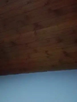 Snapshot of Darly_Gomez chatting on 02-19-25, 08:41 Darly Gomez online show from 02-19-25, 08:41